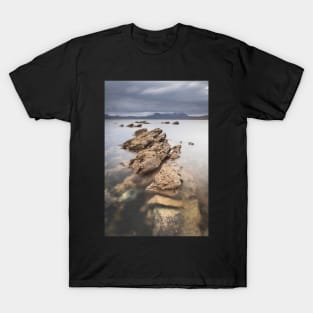 Udrigle Outlook T-Shirt